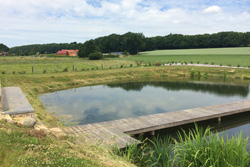 Ein Naturteich zum Schwimmen und Erholen
